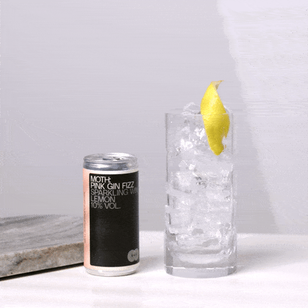 Pink Gin Fizz